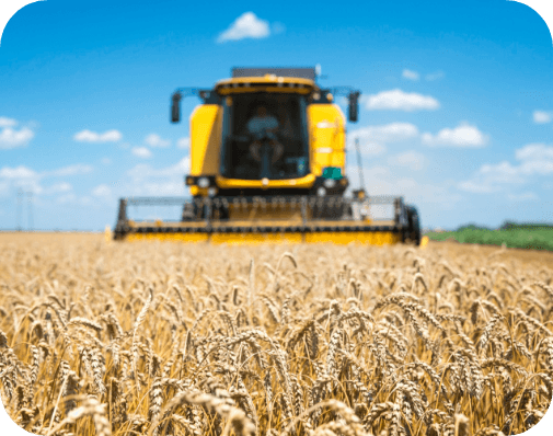 Agronomy Services