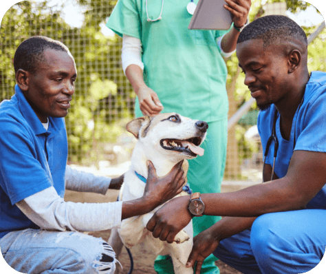 Veterinary Support